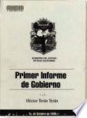 1. informe de gobierno