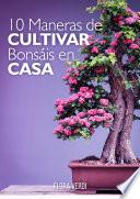 10 Maneras de Cultivar Bonsáis en Casa