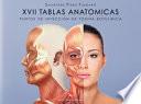 17 tablas anatomicas. Puntos de inyección de toxina botulínica