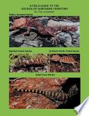 A Field Guide to the Geckos of Northern Territory