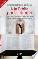 A la Biblia por la liturgia (Año par)