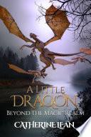 A Little Dragon beyond the Magic Realm