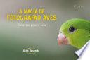 A magia de fotografar aves