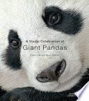 A Visual Celebration of Giant Pandas