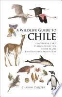 A Wildlife Guide to Chile