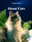 About cats