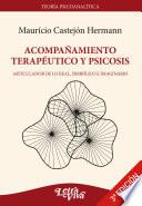 Acompañamiento terapéutico y psicosis