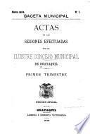 Actas de las sesiones effectuadas por el ilustre Concejo municipal de Guayaquil ...