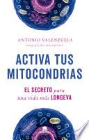 Activa tus mitocondrias