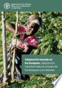 Adaptación basada en los bosques: adaptación transformadora a través de los bosques y los árboles