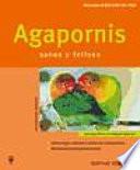 Agapornis