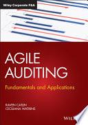 Agile Auditing