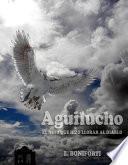 Aguilucho