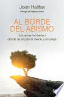 Al borde del abismo