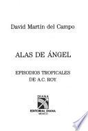 Alas de ángel