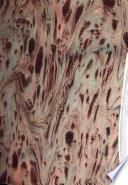 Alfonso, ó, El hijo natural