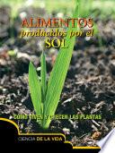 Alimentos producidos por el sol