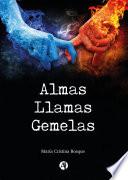Almas Llamas Gemelas