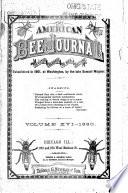 American Bee Journal