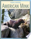 American Mink