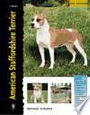 American Staffordshire Terrier