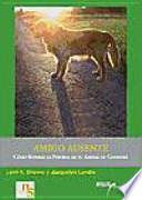 Amigo ausente