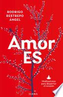 Amor Es