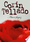Amor fugaz