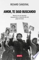 Amor, te sigo buscando