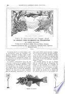 Anales de la Sociedad Rural Argentina