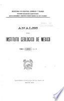 Anales del Instituto Geológico de México