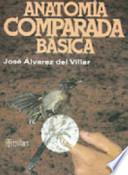 Anatomía comparada básica