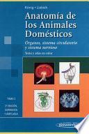Anatomía de los Animales Domésticos