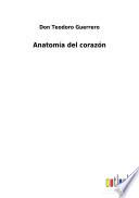 Anatomía del corazón