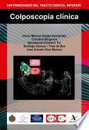 Anatomía, fisiología y clínica del tracto genital inferior