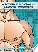 Anatomía funcional del aparato locomotor