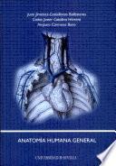 Anatomía humana general