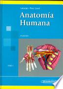Anatomía Humana