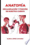 Anatomía