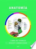 Anatomía