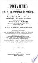 Anatomía pictórica