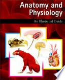 Anatomy and Physiology