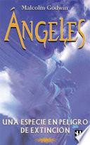 Ángeles