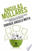 Angulas Mollares. Historias mínimas en 140 caracteres publicados o menos publicadas en Twitter