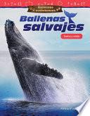 Animales asombrosos: Ballenas salvajes
