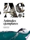 Animales ejemplares
