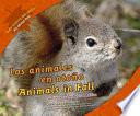 Animals in fall