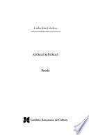 Ánimas mínimas