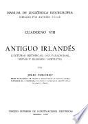 Antiguo irlandés