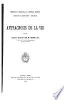 Antracnosis de la vid